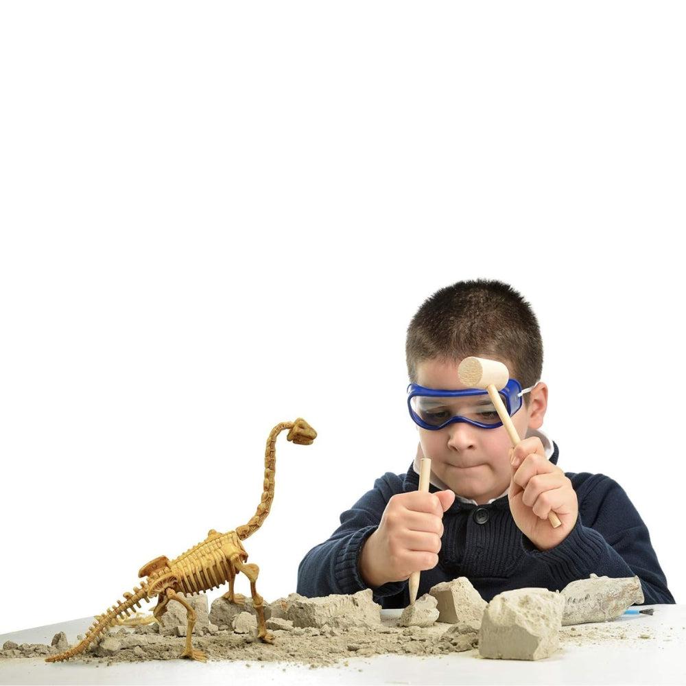 Science 4 You Brachiosaurus Fossil Excavation