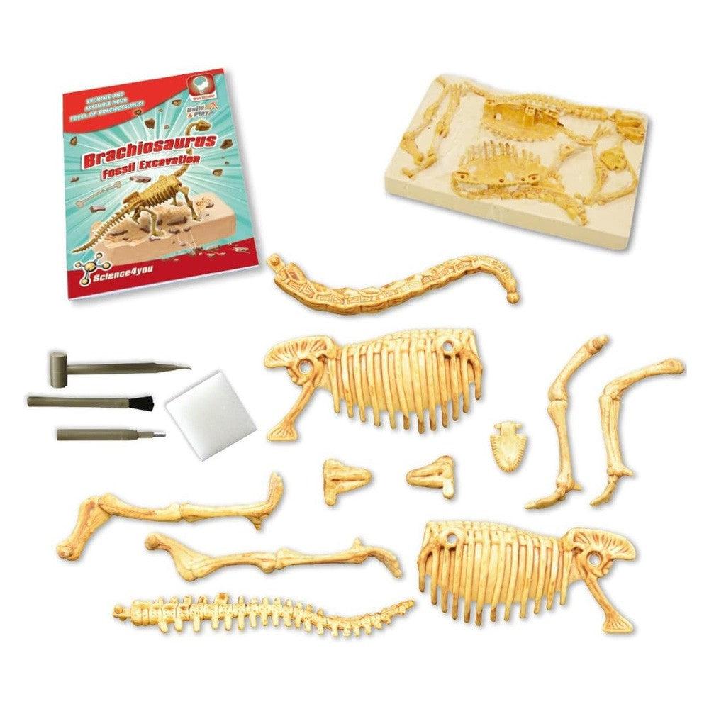 Science 4 You Brachiosaurus Fossil Excavation