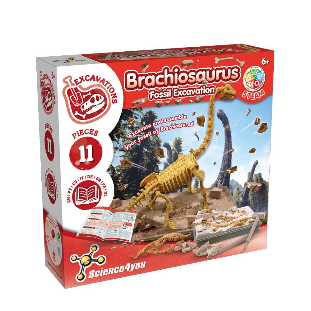 Science 4 You Brachiosaurus Fossil Excavation