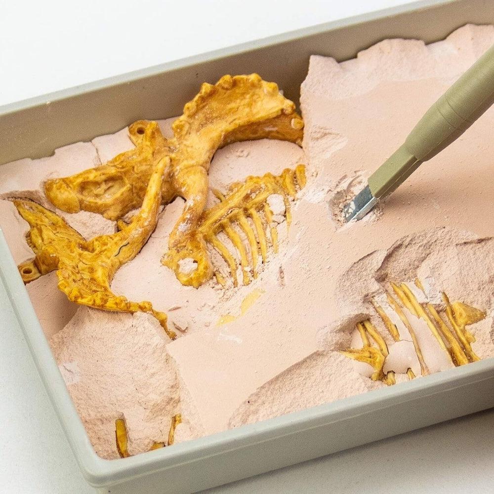 Science 4 You Triceratops Fossil Excavation