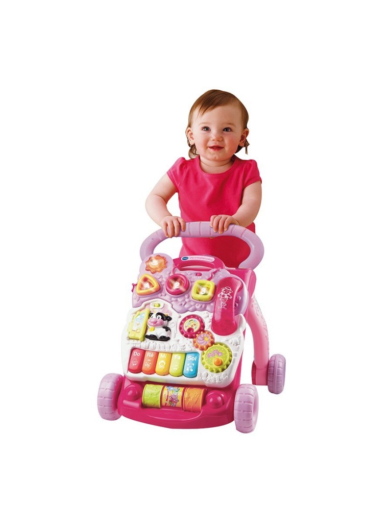 Vtech Sit-To-Stand Learning Walker (Frustration Free Packaging), Pink